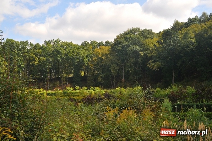 Zdjęcie w galerii na portalu naszraciborz.pl: Przejażdżki drezynami i problem likwidacji linii, czyli piknik drezynowy w Oborze wiadomości z regionu