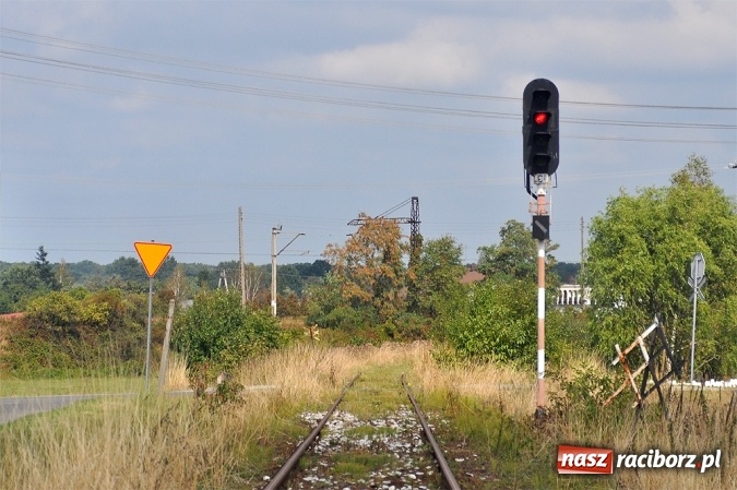 Zdjęcie w galerii na portalu naszraciborz.pl: Przejażdżki drezynami i problem likwidacji linii, czyli piknik drezynowy w Oborze wiadomości z regionu