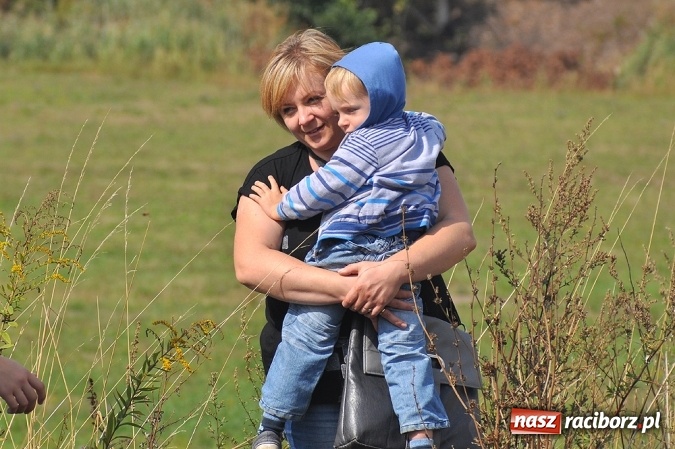 Zdjęcie w galerii na portalu naszraciborz.pl: Przejażdżki drezynami i problem likwidacji linii, czyli piknik drezynowy w Oborze wiadomości z regionu