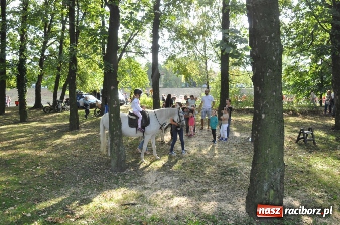 Zdjęcie w galerii na portalu naszraciborz.pl: Bajkowy Park - frekwencja przeszła nasze najśmielsze oczekiwania wiadomości z regionu