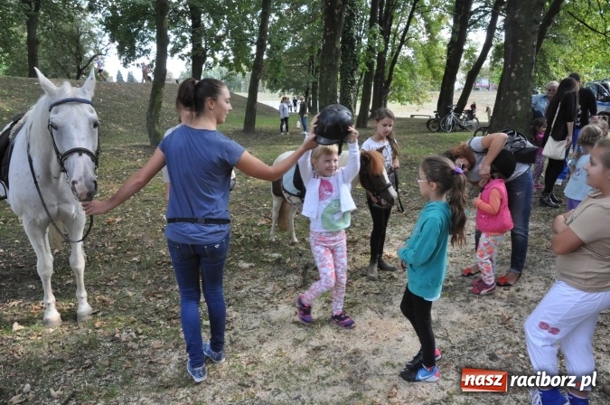 Zdjęcie w galerii na portalu naszraciborz.pl: Bajkowy Park - frekwencja przeszła nasze najśmielsze oczekiwania wiadomości z regionu