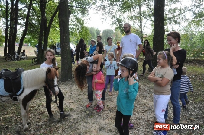 Zdjęcie w galerii na portalu naszraciborz.pl: Bajkowy Park - frekwencja przeszła nasze najśmielsze oczekiwania wiadomości z regionu