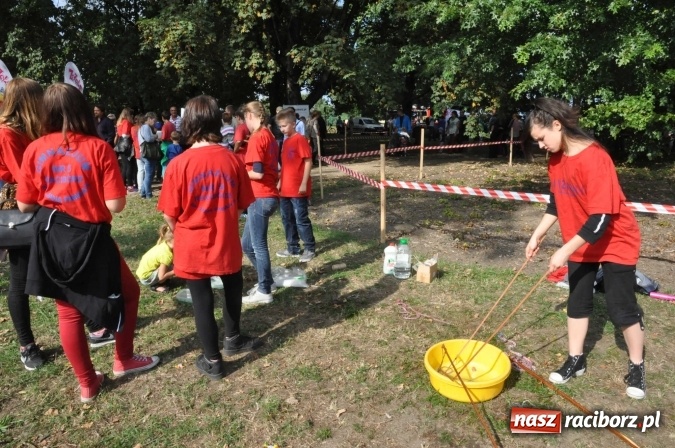 Zdjęcie w galerii na portalu naszraciborz.pl: Bajkowy Park - frekwencja przeszła nasze najśmielsze oczekiwania wiadomości z regionu