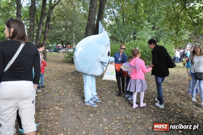 Zdjęcie w galerii na portalu naszraciborz.pl: Bajkowy Park - frekwencja przeszła nasze najśmielsze oczekiwania wiadomości z regionu