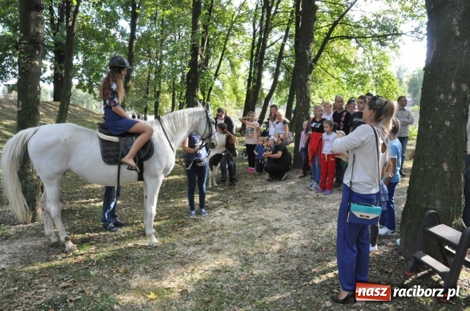 Zdjęcie w galerii na portalu naszraciborz.pl: Bajkowy Park - frekwencja przeszła nasze najśmielsze oczekiwania wiadomości z regionu