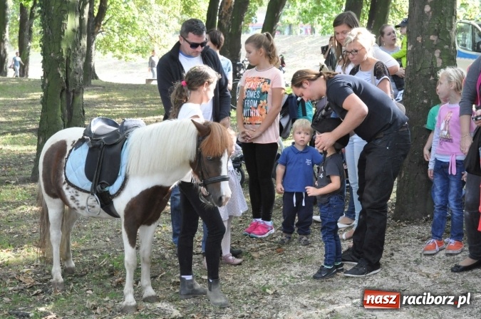 Zdjęcie w galerii na portalu naszraciborz.pl: Bajkowy Park - frekwencja przeszła nasze najśmielsze oczekiwania wiadomości z regionu
