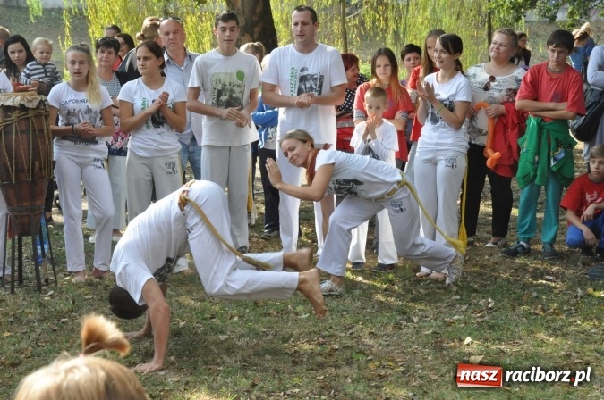 Zdjęcie w galerii na portalu naszraciborz.pl: Bajkowy Park - frekwencja przeszła nasze najśmielsze oczekiwania wiadomości z regionu