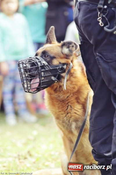 Zdjęcie w galerii na portalu naszraciborz.pl: Bajkowy Park III. Mamy dla Was ponad 240 fotografii z imprezy. Może odnajdziecie się na naszych zdjęciach? wiadomości z regionu