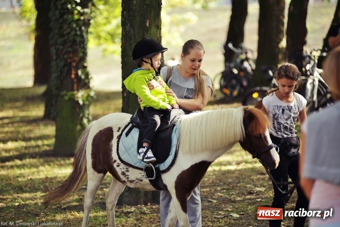 Zdjęcie w galerii na portalu naszraciborz.pl: Bajkowy Park III. Mamy dla Was ponad 240 fotografii z imprezy. Może odnajdziecie się na naszych zdjęciach? wiadomości z regionu
