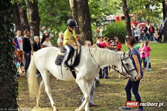 Zdjęcie w galerii na portalu naszraciborz.pl: Bajkowy Park III. Mamy dla Was ponad 240 fotografii z imprezy. Może odnajdziecie się na naszych zdjęciach? wiadomości z regionu
