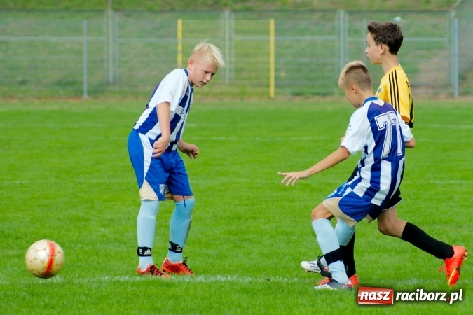 Zdjęcie w galerii na portalu naszraciborz.pl: II liga trampkarzy: Młodzi Unici bezlitośni dla Piasta Cieszyn wiadomości z regionu