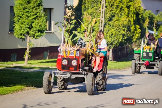 Zdjęcie w galerii na portalu naszraciborz.pl: Dożynki 2015 - Gamów dziękuje za plony wiadomości z regionu