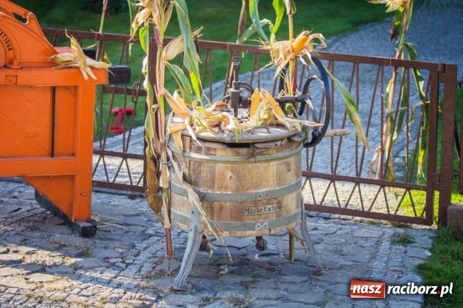 Zdjęcie w galerii na portalu naszraciborz.pl: Dożynki 2015 - Gamów dziękuje za plony wiadomości z regionu