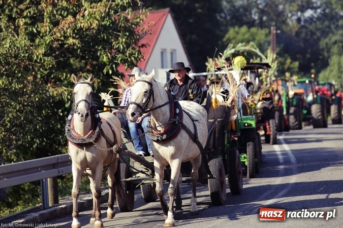 Zdjęcie w galerii na portalu naszraciborz.pl: Dożynki 2015 - parafia Łubowice świętuje w Brzeźnicy wiadomości z regionu