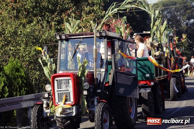 Zdjęcie w galerii na portalu naszraciborz.pl: Dożynki 2015 - parafia Łubowice świętuje w Brzeźnicy wiadomości z regionu