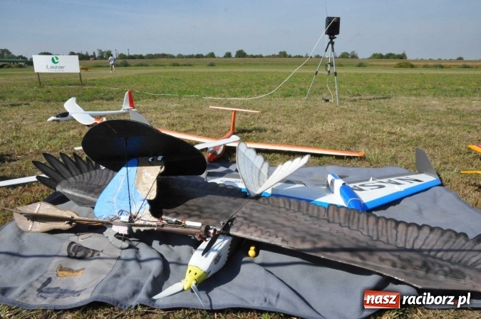 Zdjęcie w galerii na portalu naszraciborz.pl: Raciborskie Air-Show nad Ulgą wiadomości z regionu