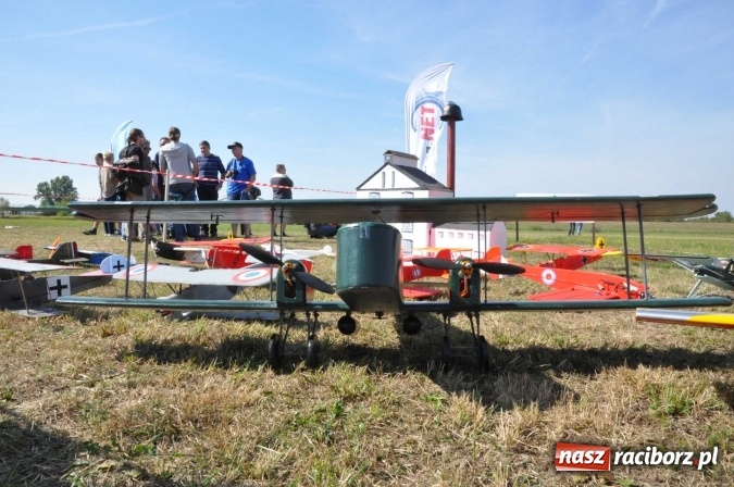 Zdjęcie w galerii na portalu naszraciborz.pl: Raciborskie Air-Show nad Ulgą wiadomości z regionu