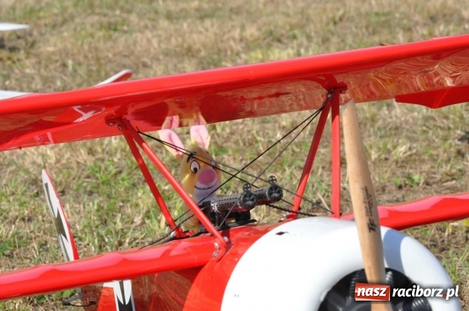 Zdjęcie w galerii na portalu naszraciborz.pl: Raciborskie Air-Show nad Ulgą wiadomości z regionu