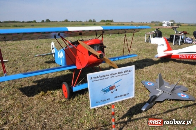 Zdjęcie w galerii na portalu naszraciborz.pl: Raciborskie Air-Show nad Ulgą wiadomości z regionu