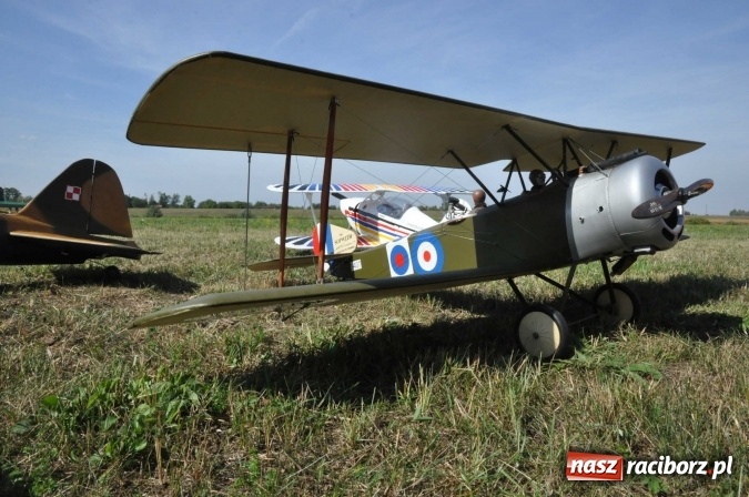 Zdjęcie w galerii na portalu naszraciborz.pl: Raciborskie Air-Show nad Ulgą wiadomości z regionu