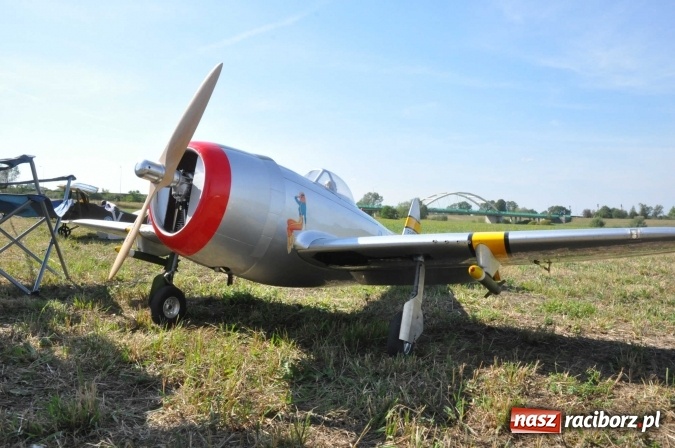 Zdjęcie w galerii na portalu naszraciborz.pl: Raciborskie Air-Show nad Ulgą wiadomości z regionu