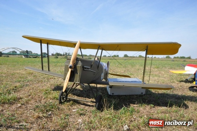 Zdjęcie w galerii na portalu naszraciborz.pl: Raciborskie Air-Show nad Ulgą wiadomości z regionu