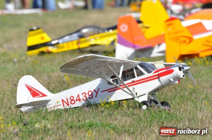 Zdjęcie w galerii na portalu naszraciborz.pl: Raciborskie Air-Show nad Ulgą wiadomości z regionu