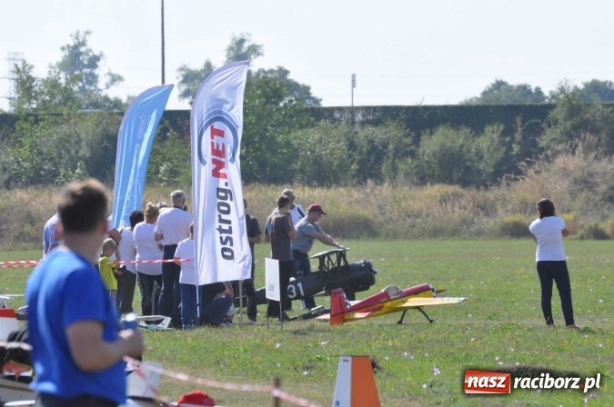 Zdjęcie w galerii na portalu naszraciborz.pl: Raciborskie Air-Show nad Ulgą wiadomości z regionu