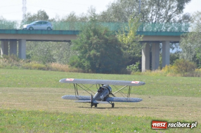 Zdjęcie w galerii na portalu naszraciborz.pl: Raciborskie Air-Show nad Ulgą wiadomości z regionu