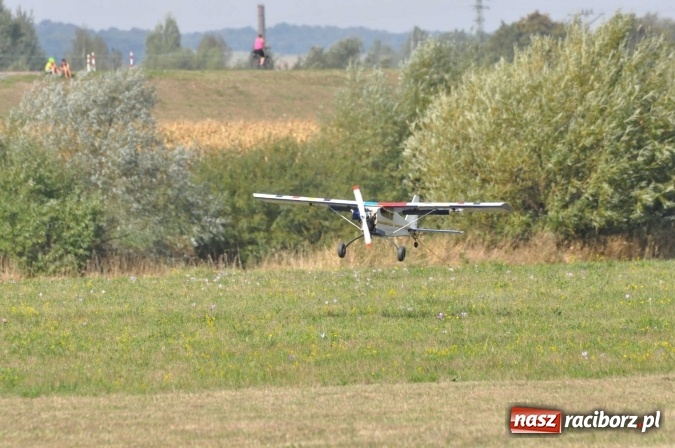 Zdjęcie w galerii na portalu naszraciborz.pl: Raciborskie Air-Show nad Ulgą wiadomości z regionu