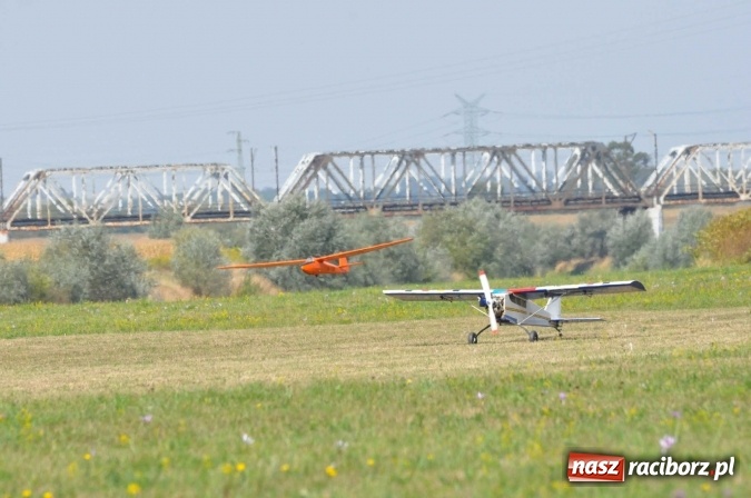 Zdjęcie w galerii na portalu naszraciborz.pl: Raciborskie Air-Show nad Ulgą wiadomości z regionu