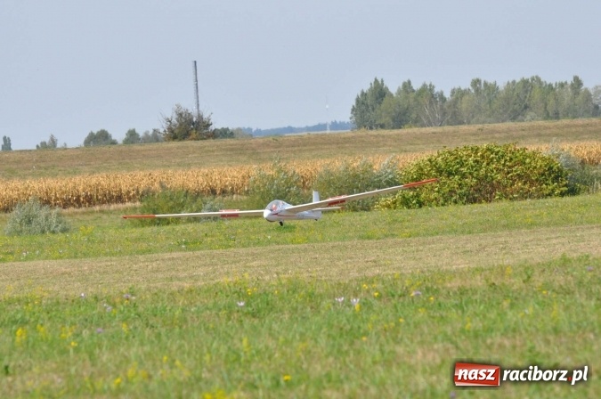 Zdjęcie w galerii na portalu naszraciborz.pl: Raciborskie Air-Show nad Ulgą wiadomości z regionu