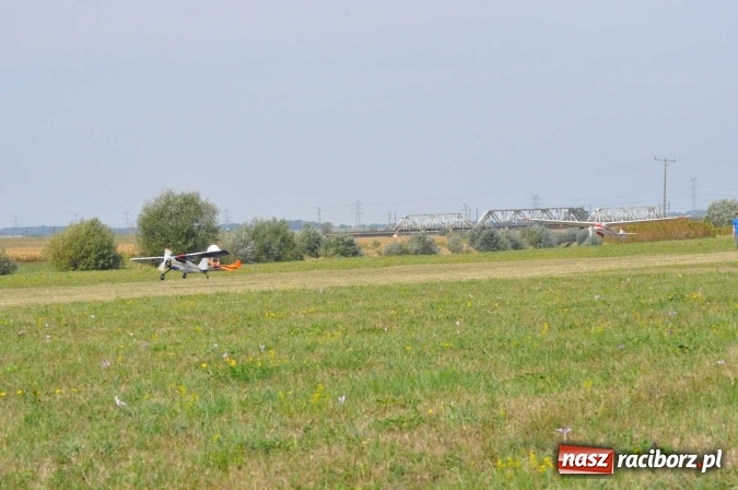 Zdjęcie w galerii na portalu naszraciborz.pl: Raciborskie Air-Show nad Ulgą wiadomości z regionu