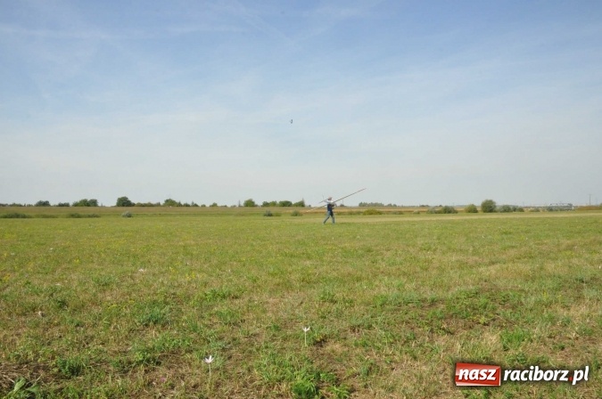 Zdjęcie w galerii na portalu naszraciborz.pl: Raciborskie Air-Show nad Ulgą wiadomości z regionu