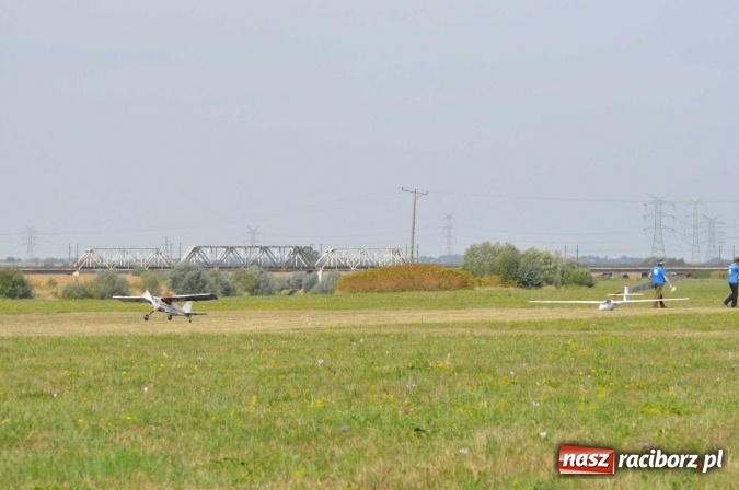 Zdjęcie w galerii na portalu naszraciborz.pl: Raciborskie Air-Show nad Ulgą wiadomości z regionu