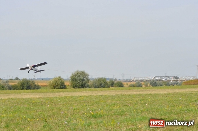 Zdjęcie w galerii na portalu naszraciborz.pl: Raciborskie Air-Show nad Ulgą wiadomości z regionu