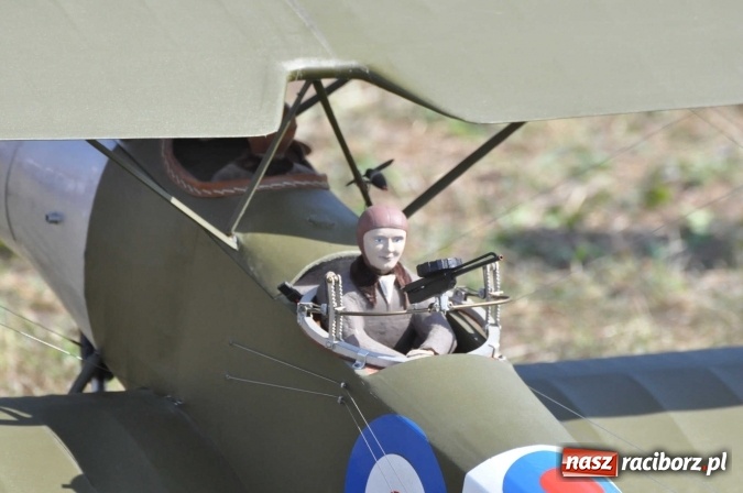 Zdjęcie w galerii na portalu naszraciborz.pl: Raciborskie Air-Show nad Ulgą wiadomości z regionu