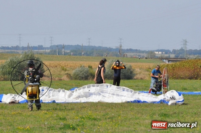 Zdjęcie w galerii na portalu naszraciborz.pl: Raciborskie Air-Show nad Ulgą wiadomości z regionu
