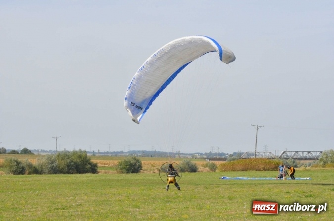 Zdjęcie w galerii na portalu naszraciborz.pl: Raciborskie Air-Show nad Ulgą wiadomości z regionu
