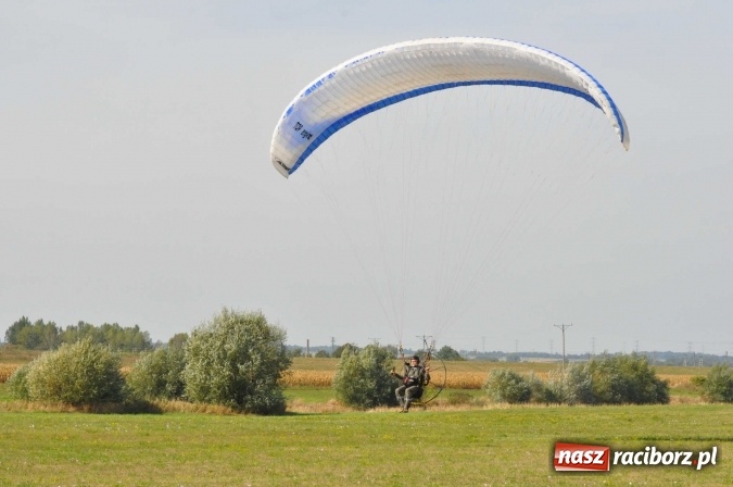 Zdjęcie w galerii na portalu naszraciborz.pl: Raciborskie Air-Show nad Ulgą wiadomości z regionu
