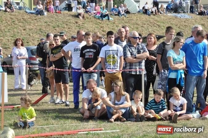 Zdjęcie w galerii na portalu naszraciborz.pl: Raciborskie Air-Show nad Ulgą wiadomości z regionu