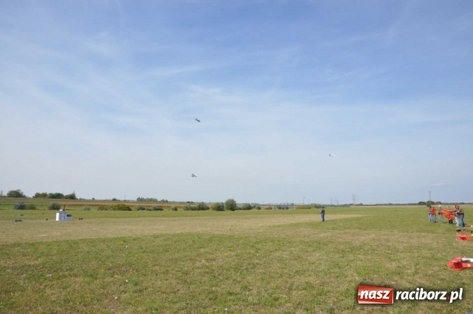 Zdjęcie w galerii na portalu naszraciborz.pl: Raciborskie Air-Show nad Ulgą wiadomości z regionu