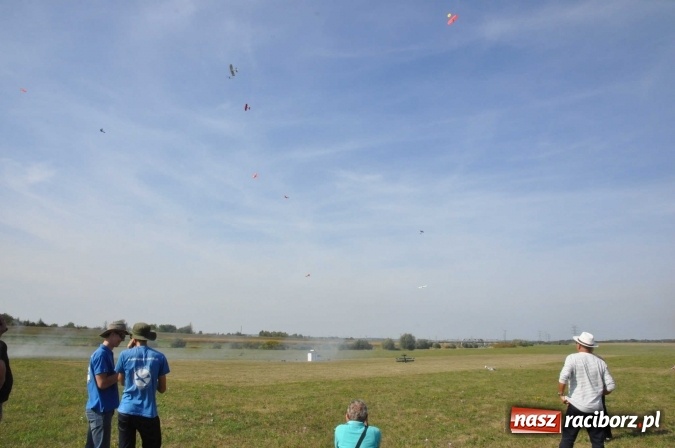 Zdjęcie w galerii na portalu naszraciborz.pl: Raciborskie Air-Show nad Ulgą wiadomości z regionu