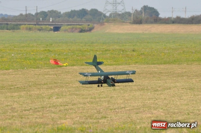 Zdjęcie w galerii na portalu naszraciborz.pl: Raciborskie Air-Show nad Ulgą wiadomości z regionu