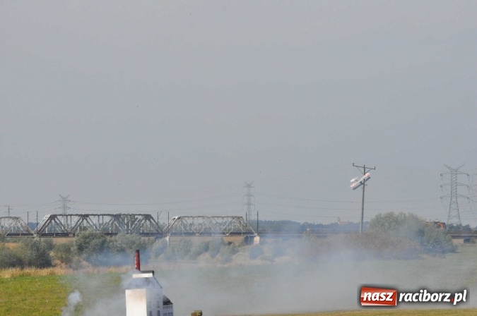 Zdjęcie w galerii na portalu naszraciborz.pl: Raciborskie Air-Show nad Ulgą wiadomości z regionu