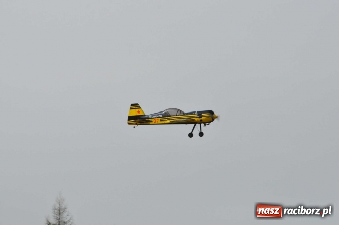 Zdjęcie w galerii na portalu naszraciborz.pl: Raciborskie Air-Show nad Ulgą wiadomości z regionu