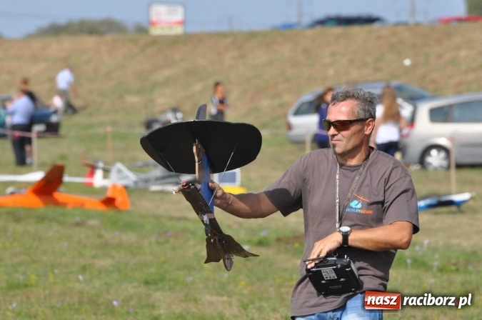 Zdjęcie w galerii na portalu naszraciborz.pl: Raciborskie Air-Show nad Ulgą wiadomości z regionu