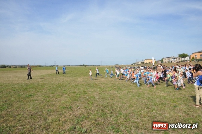 Zdjęcie w galerii na portalu naszraciborz.pl: Raciborskie Air-Show nad Ulgą wiadomości z regionu