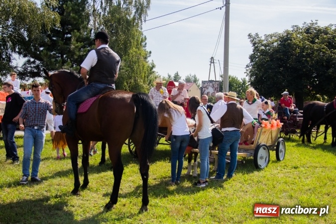 Zdjęcie w galerii na portalu naszraciborz.pl: Dożynki 2015 - złoty pociąg w Samborowicach wiadomości z regionu