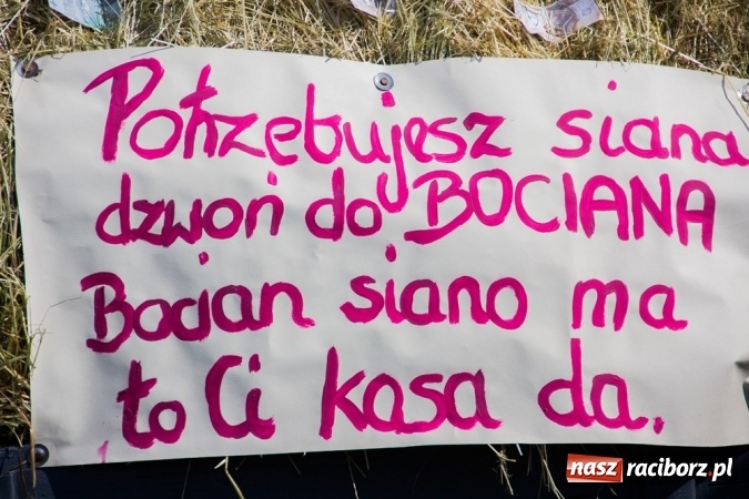 Zdjęcie w galerii na portalu naszraciborz.pl: Dożynki 2015 - złoty pociąg w Samborowicach wiadomości z regionu